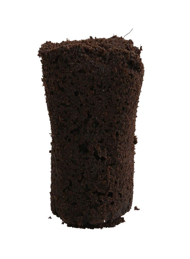 General Hydroponics Rapid Rooter, Starter Plug for Seeds or Cuttings, Great for Soil or Hydroponics Growing System, 50 Plugs - Image 3