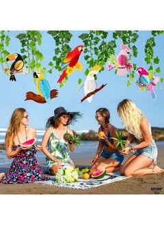 KATCHON Big Tropical Birds Honeycomb Cutouts Pack Of 6 Tropical Party Decorations ; Hawaiian Party Decorations ; Luau Party Decorations Tropical Birthday Party Decorations Rainforest Decorations  - Image 4