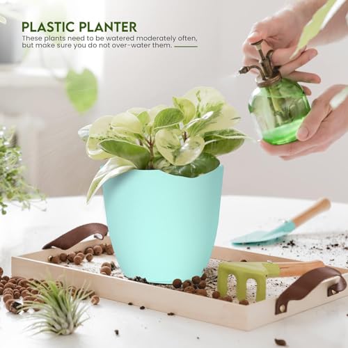 INKULTURE Plant Pots Set with Saucers – 5 Indoor Outdoor Flower Pots in Multiple Sizes (7" to 4.8")– Modern Minimalist Plastic Planters with Drainage Holes – Aqua Nursery Pot Set - Image 5