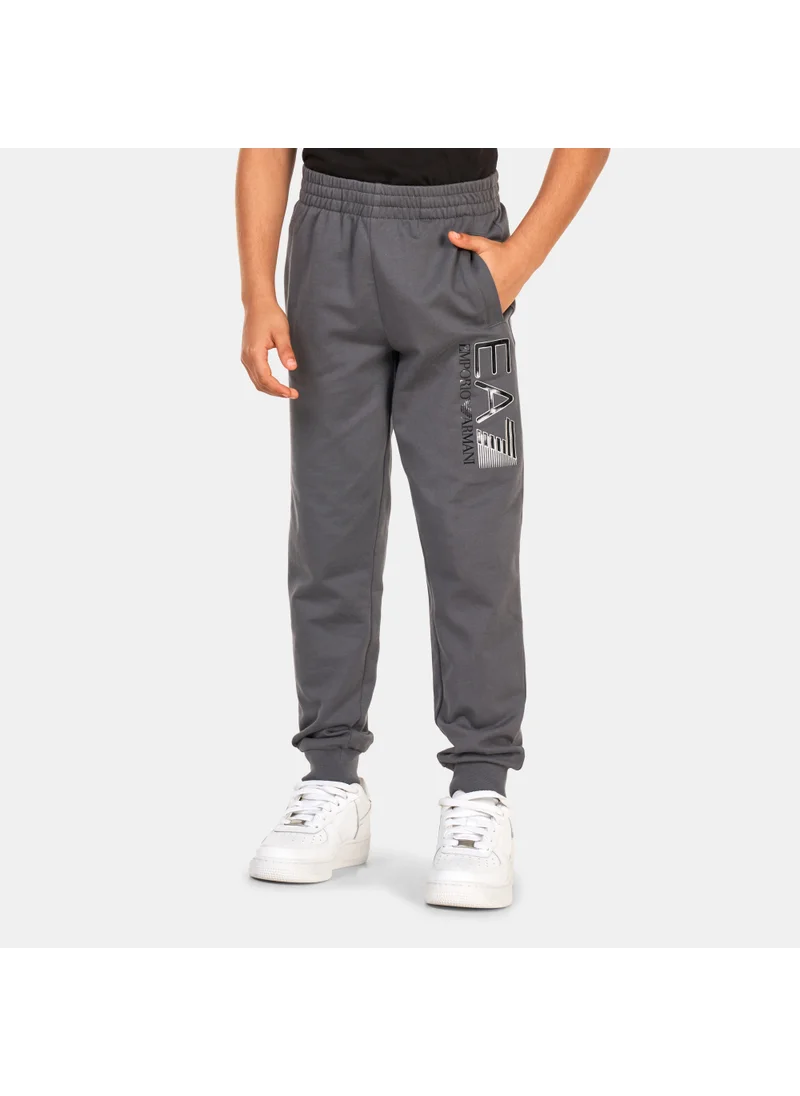 EA7 Emporio Armani Kids' Train Logo Series Sweatpants