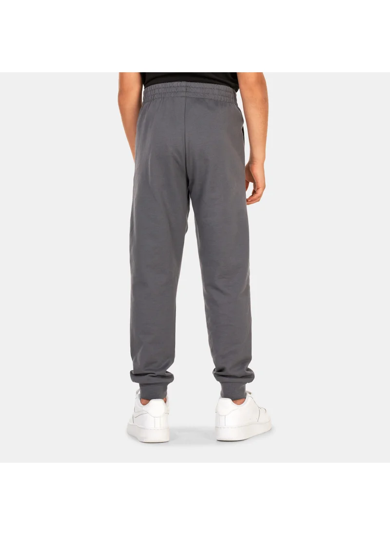 EA7 Emporio Armani Kids' Train Logo Series Sweatpants