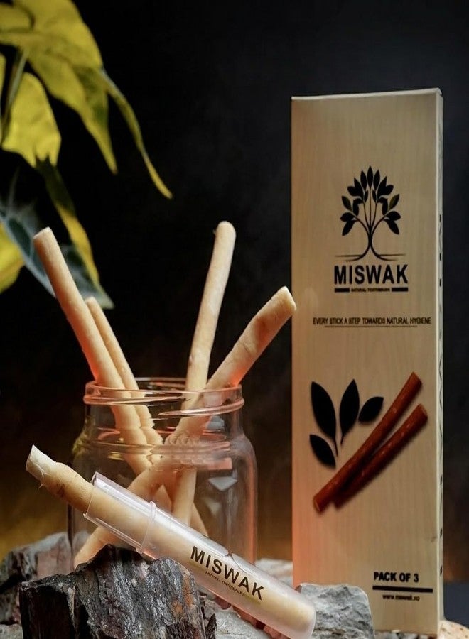 MISWAK Premium Natural Sticks Pack of 3 with Vacuum Holder - 100% Natural Authentic Peelu Wood (Salvadora Persica) Herbal Tooth Sticks for Teeth Whitening, Fresh Breath & Gum Care - Image 1