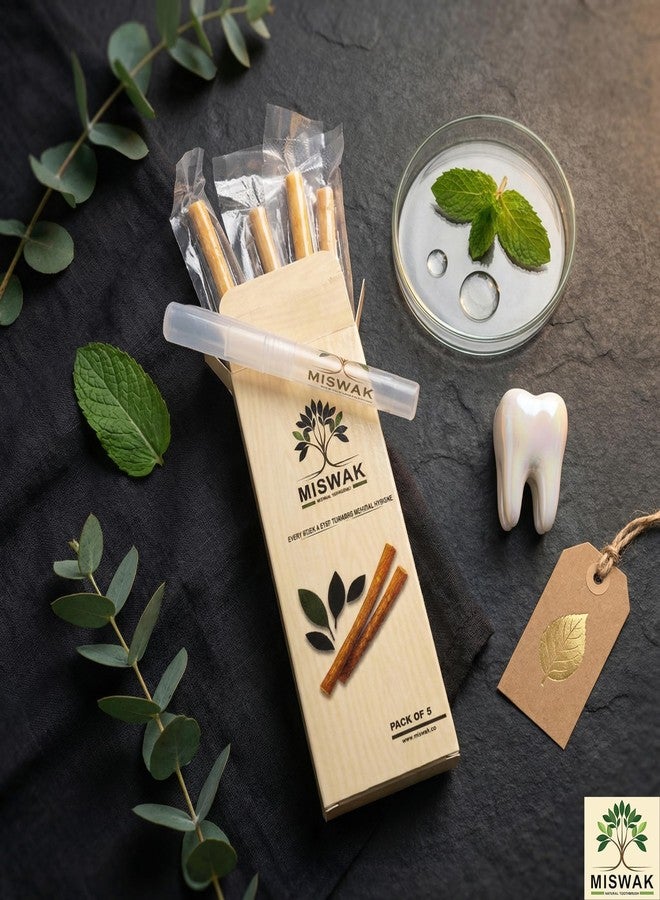 MISWAK Premium Natural Sticks Pack of 3 with Vacuum Holder - 100% Natural Authentic Peelu Wood (Salvadora Persica) Herbal Tooth Sticks for Teeth Whitening, Fresh Breath & Gum Care - Image 2