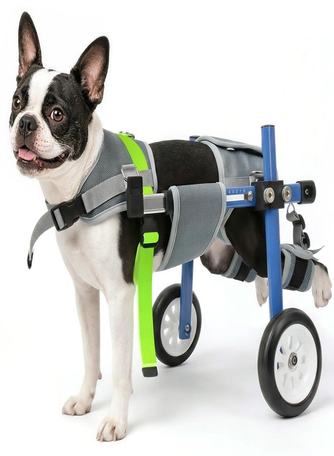 LetPetRun Lightweight and Adjustable Dog Wheelchair for Back Legs, Dog Carts with Wheels for Disabled Dogs, Thick Harness Support Mobility Cart for Pets (Blue, XXS) - Image 1