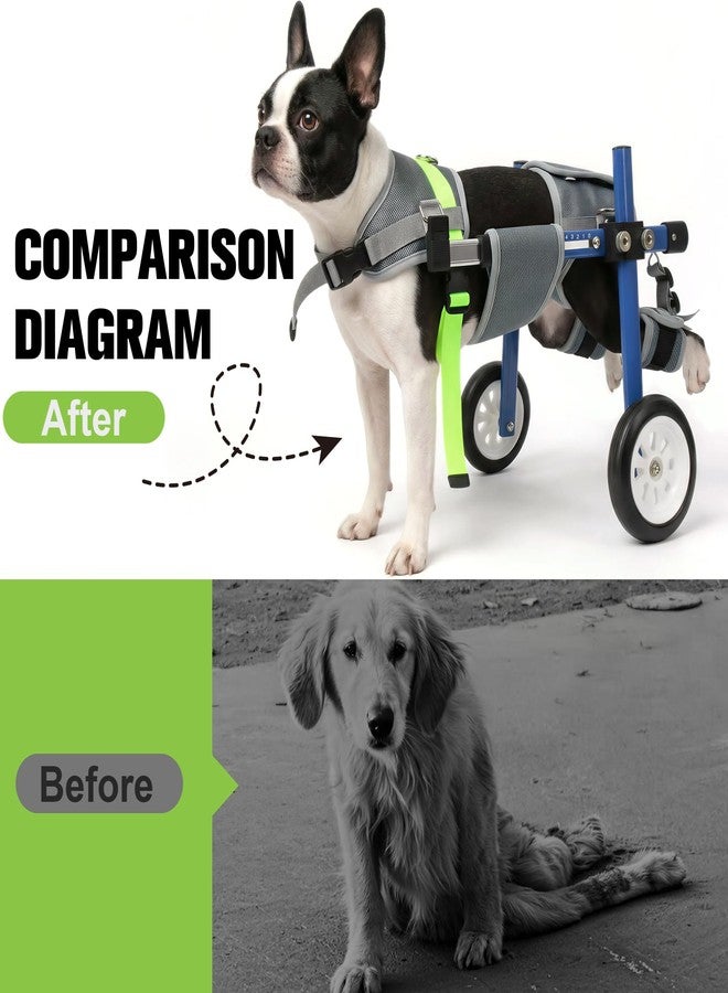 LetPetRun Lightweight and Adjustable Dog Wheelchair for Back Legs, Dog Carts with Wheels for Disabled Dogs, Thick Harness Support Mobility Cart for Pets (Blue, XXS) - Image 2