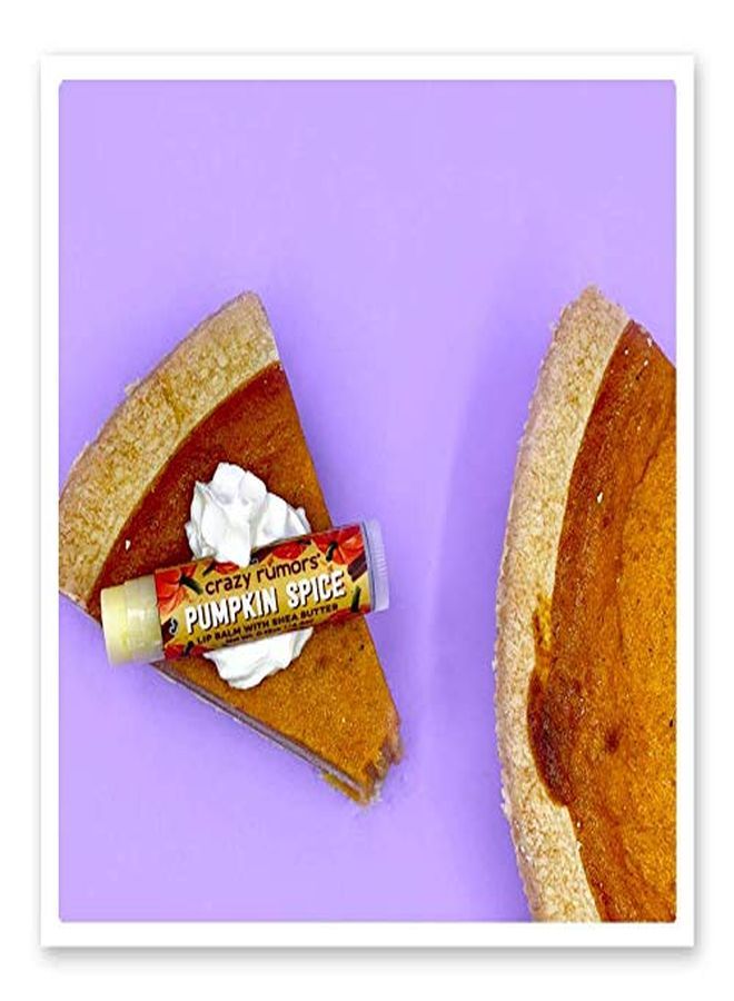 crazy rumors Pumpkin Spice Lip Balm. 100% Natural, Vegan, PlantBased, Made In Usa. - Image 4