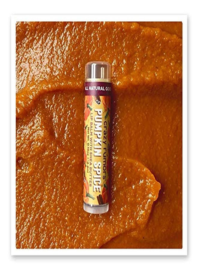 crazy rumors Pumpkin Spice Lip Balm. 100% Natural, Vegan, PlantBased, Made In Usa. - Image 2