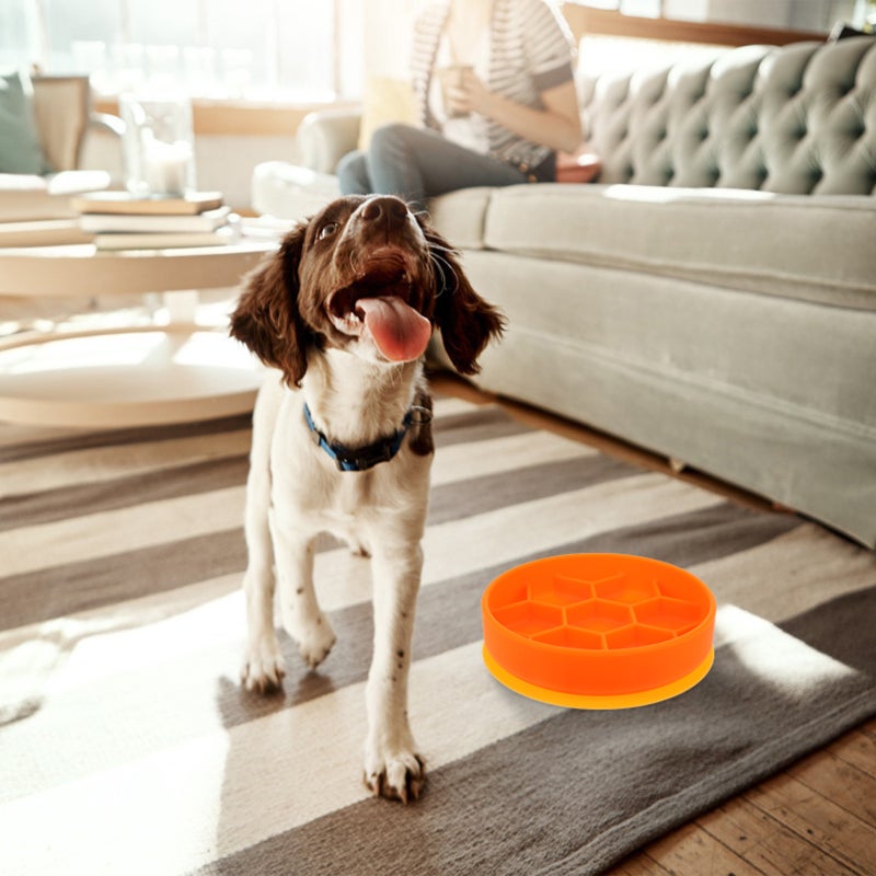Silicone Slow Feeder Slow Feeding Dish Pet Feeder Pet Food Bowl - Image 3