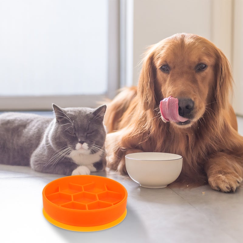 Silicone Slow Feeder Slow Feeding Dish Pet Feeder Pet Food Bowl - Image 4