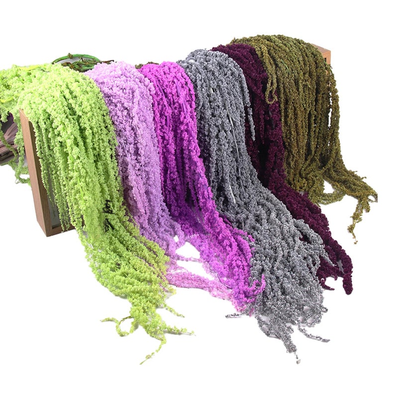 Bluejw Preserved Amaranth Flowers – Dried Amaranthus Eternal Blooms for Wedding Decor, Long-Lasting Dried Plants for Bouquets, Centerpieces & Home Decoration - Image 2