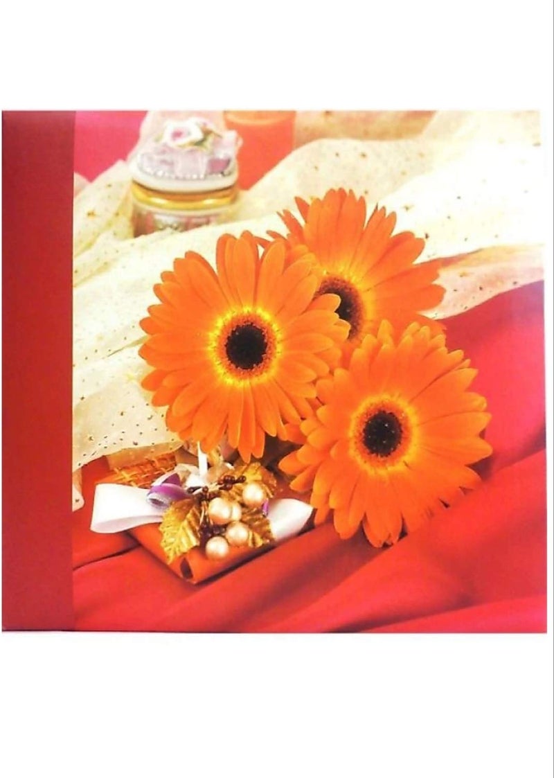AADINATH ORIGINAL Plastic Photo Album (4x6 inch, Multicolour) - Image 2