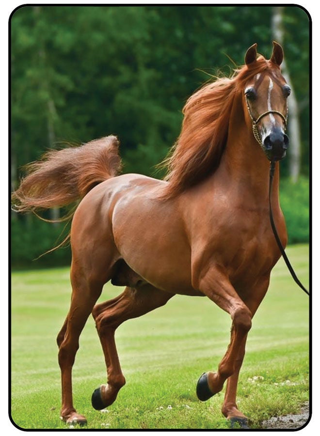 AMINA ALSHEBLI Protective Case Cover For Apple iPad 9th Gen 10.2 Inch Horse - Image 1