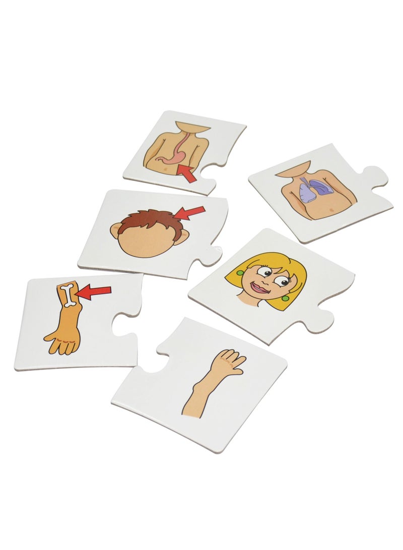 FIS Sarmadee Back to School Series Body  Organs 2 Piece Jigsaw  Puzzle (30 Pieces) (Arabic/English) SAEDPM-2189 - Image 1