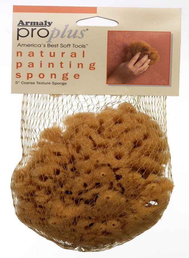 ProPlus Natural Painting Sponge Coarse Texture, Small