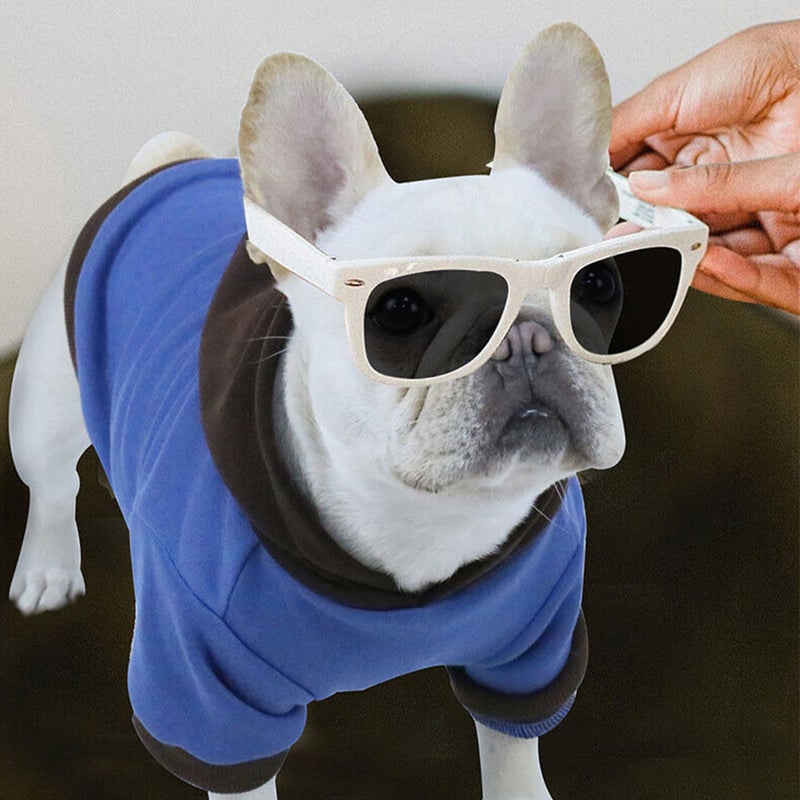 🐾 قمصان كلب شتوية أنيقة بتصميم مميز للاستخدام اليومي - Image 3