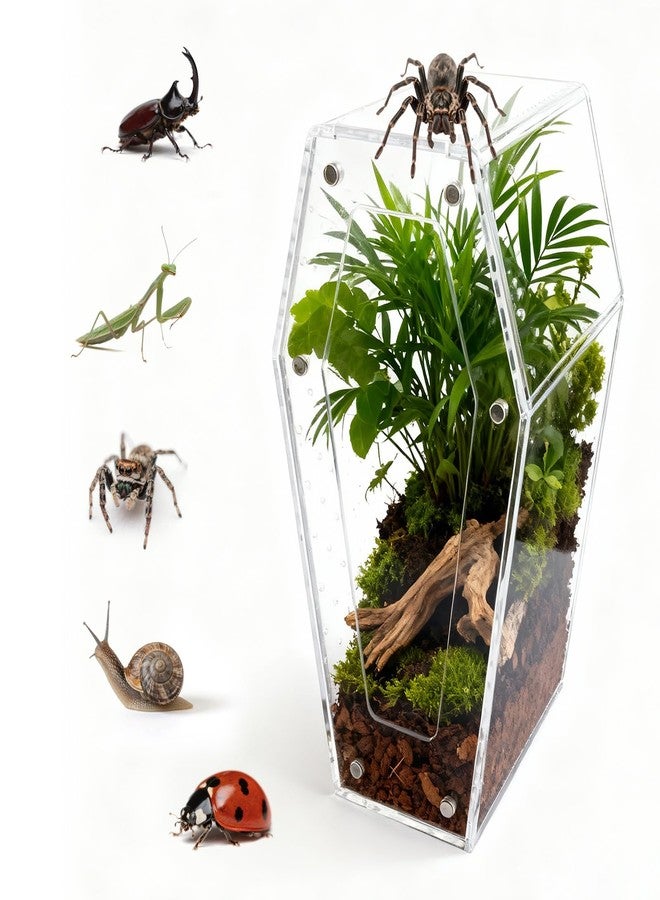 Bartuke Jumping Spider Enclosure, No Installation Insect Terrarium with Magnetic Door & All-Side Ventilation, Bug Enclosure for Tarantula, Snail, Beetle and Small Reptiles - Image 1