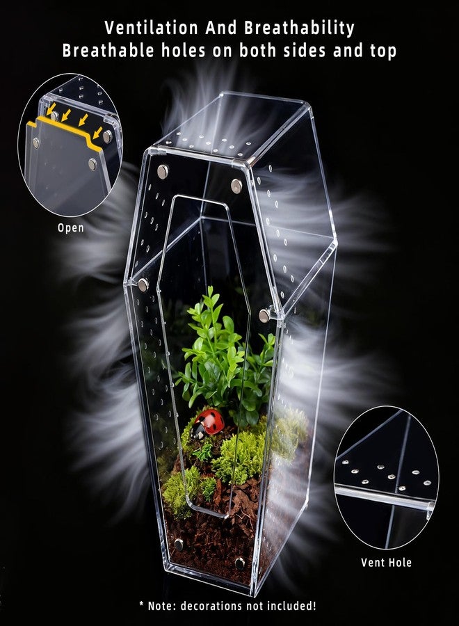 Bartuke Jumping Spider Enclosure, No Installation Insect Terrarium with Magnetic Door & All-Side Ventilation, Bug Enclosure for Tarantula, Snail, Beetle and Small Reptiles - Image 3