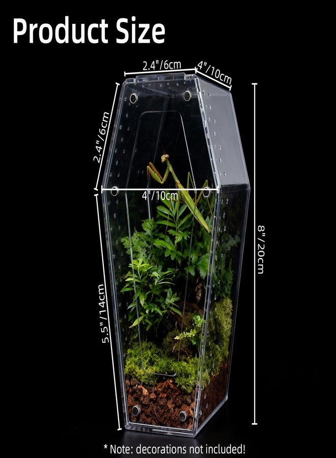 Bartuke Jumping Spider Enclosure, No Installation Insect Terrarium with Magnetic Door & All-Side Ventilation, Bug Enclosure for Tarantula, Snail, Beetle and Small Reptiles - Image 5
