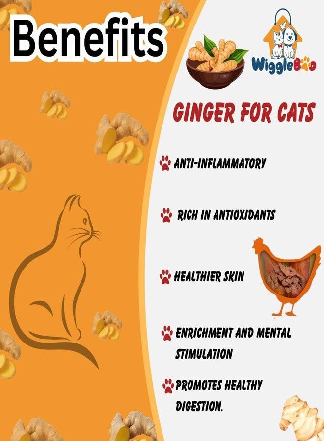 WiggleBoo مكافآت ويغل بو للقطط بنكهة الدجاج والزنجبيل | غنية بالبروتين | مضادة للالتهابات | وجبات خفيفة صحية مقرمشة (45 غرام) - Image 3