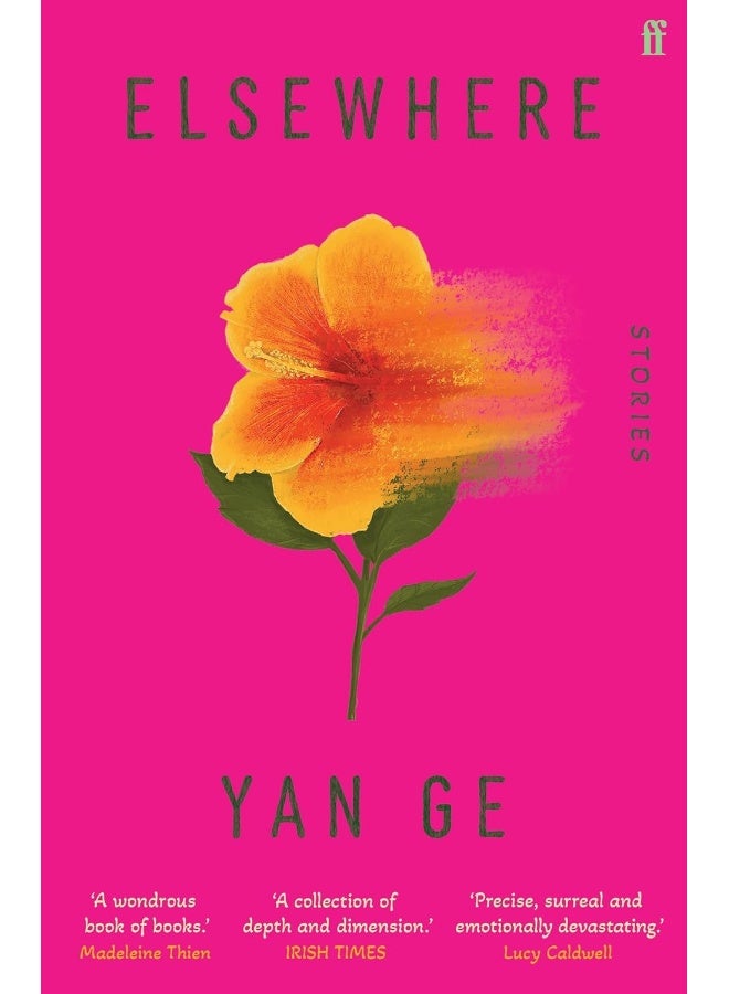 Elsewhere: 'Wonderful writing' Sarah Hall - Image 1