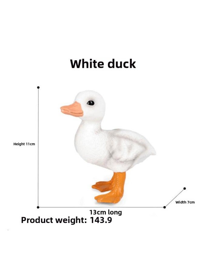 Simulation Animal Solid Model Toy Poultry White Duck Yellow Duck Model Children's Cognitive Toy Ornaments Handheld-Color:Large White Duck 127-1387 - Image 1