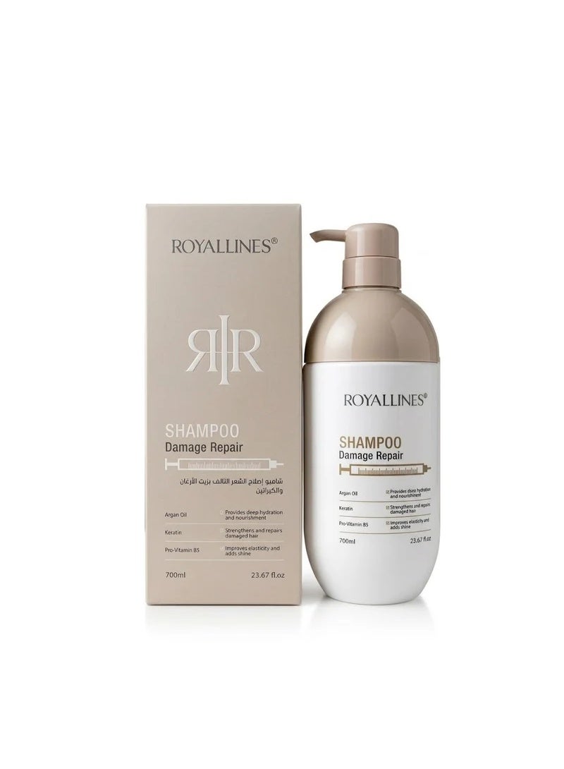 Argan Oil & keratin Damage Repair Shampoo 700 ml