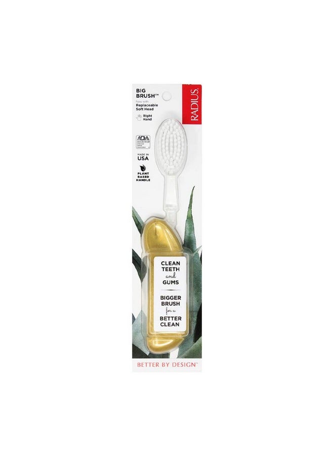 RADIUS Big Brush BPA Free & ADA Accepted Toothbrush Designed to Improve Gum Health & Reduce Gum Issues - Right Hand - Gold - Pack of 1 - pzsku/Z065B10DCB6E0D29F7561Z/45/_/1736426559/abb02f87-cdd4-4a0d-83f0-56b73983dc86