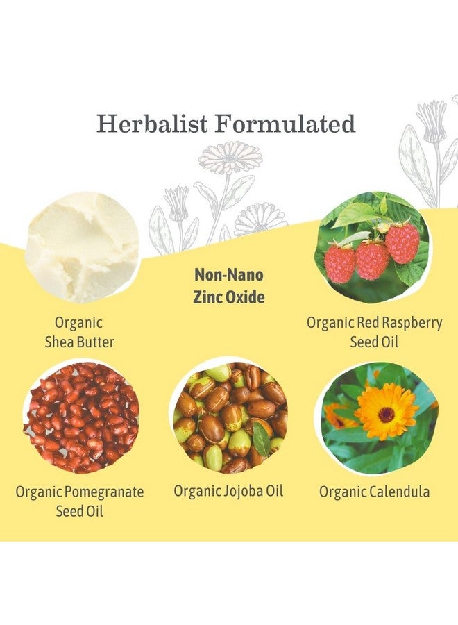 إيرث ماما لوشن واقي من الشمس للأطفال من إيرث ماما، بعامل حماية من الشمس 40، آمن على الشعاب المرجانية، خالٍ من الزنك النانوي، مقاوم للماء طبيعيًا، للأطفال والبالغين، 87 مل - Image 4