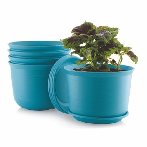 INKULTURE 10 Inch Plastic Round Flower Pots with Tray for Home Planters, Terrace, Garden Etc | Pack of 05 | Peacock | for Home Indoor & Outdoor Gardening Plants - Image 3