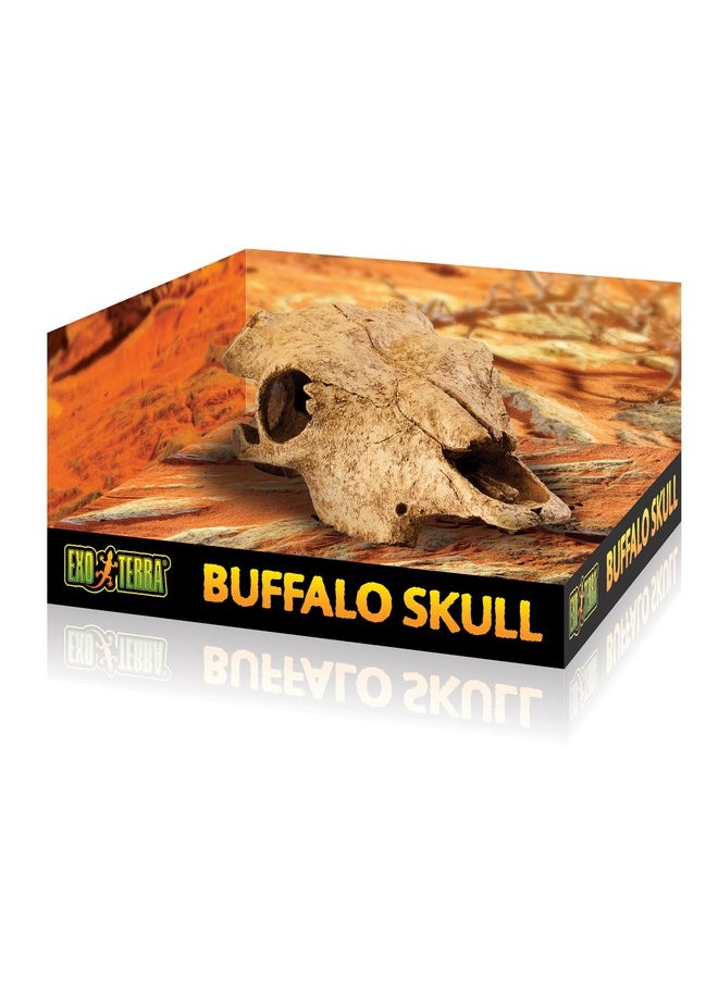 Exo Terra Exo Terra Buffalo Skull Terrarium D  - Image 4