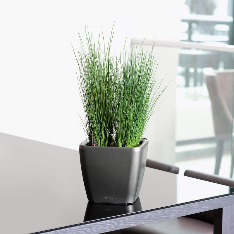 Lechuza Self Watering Plant Pot QUADRO LS 21 Garden Flower Indoor Outdoor Table Plastic Small Planter with Drainage Hole H20 L21 W21 cm Charcoal Metallic - Image 4