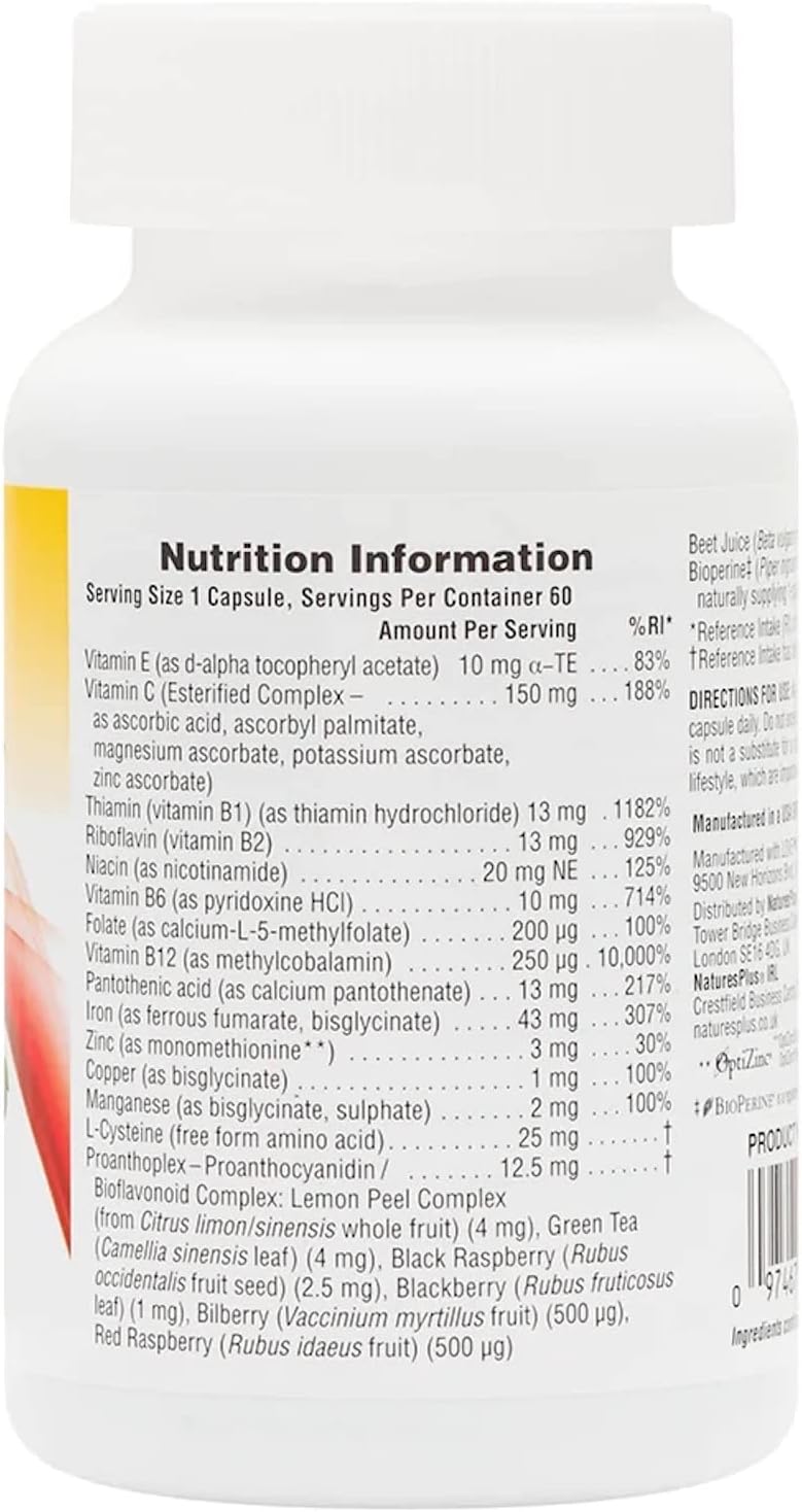 NaturesPlus HemaPlex Iron  60 FastActing Capsules  85 mg Chelated Iron  Total Blood Health  With Vitamin C  Bioflavonoids  Vegan Gluten Free  30 Servings - Image 2