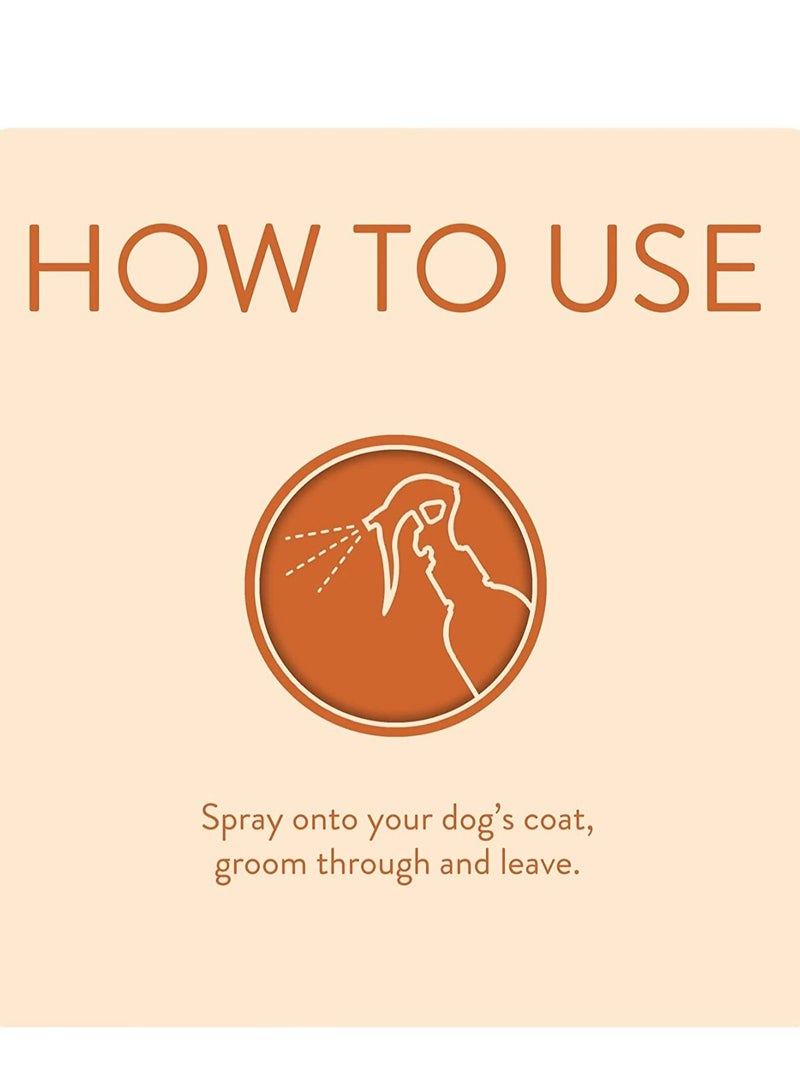 Animology Dirty Dawg No Rinse Dog Shampoo 250ml - Image 2