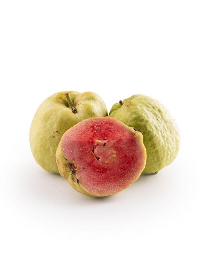 Guava Red 750 /  pack