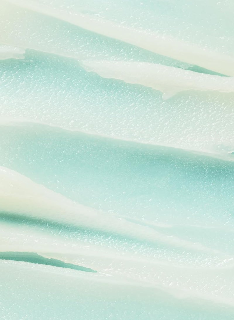 بوندي ساندز بلسم تنظيف ميلت مي 100 مل مُعزَّز بالسيراميدات مناسب للبشرة الحساسة نباتي خالي من القسوة 100 مل 3.38 أونصة سائلة - Image 5