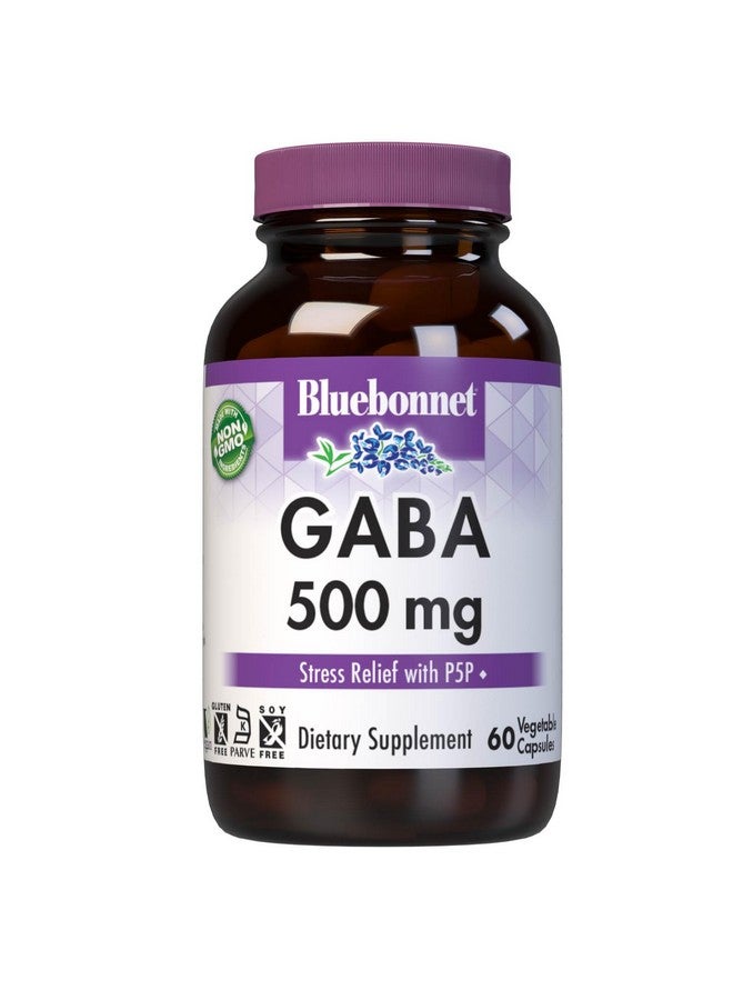 BlueBonnet Nutrition GABA 500mg, for Stress Relief*, Supports Relaxation*, Kosher, Vegan, Gluten-Free, Soy-Free, Non-GMO, 60 Count, 60 Servings - Image 1