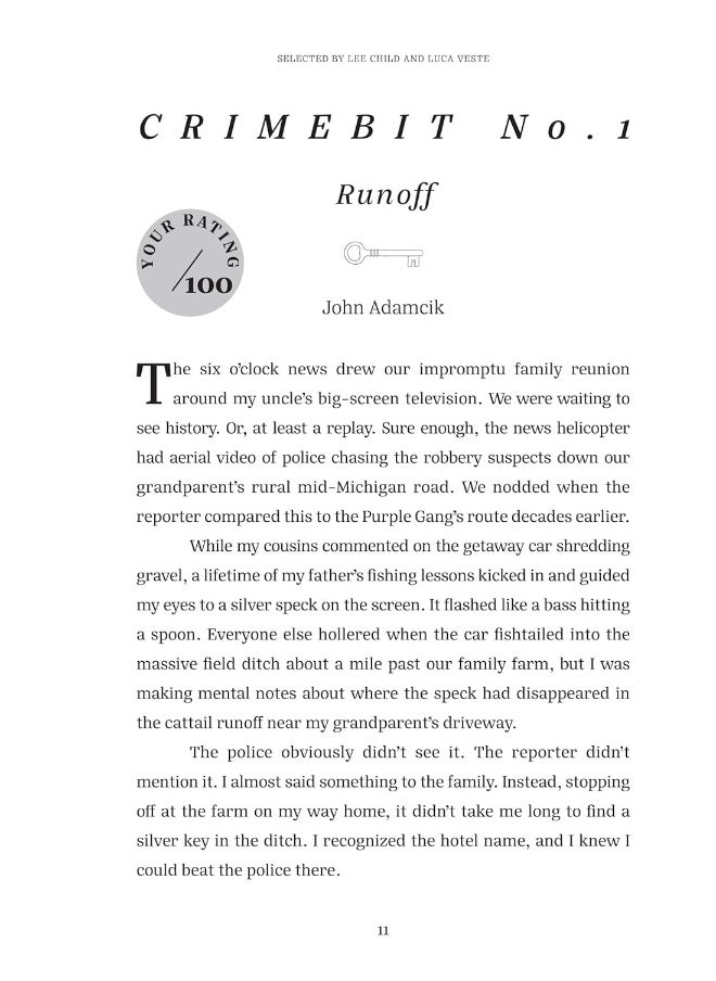 Crimebits: 100 Opening Gambits for Great Thrillers & Linked Mystery Puzzles  - Image 3