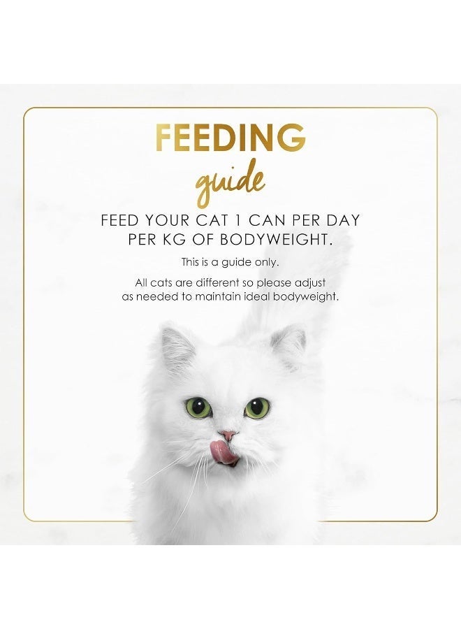 Fancy Feast Purina Gravy Lover Salmon Wet Cat Food 85g - Image 1