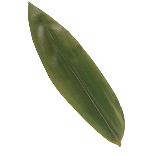 BambooMN Bamboo Leaves for Cooking Zongzi, Banana Leaf Alternative, Grilling/Barbeque, Natural Boiling Bags - 12.25 x 3.5 Inches - 100 pack - Image 3
