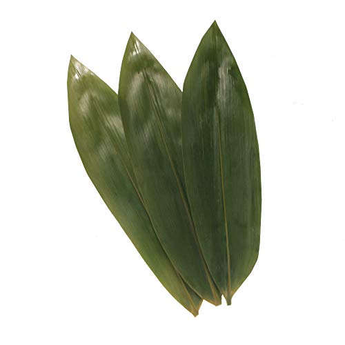 BambooMN Bamboo Leaves for Cooking Zongzi, Banana Leaf Alternative, Grilling/Barbeque, Natural Boiling Bags - 12.25 x 3.5 Inches - 100 pack - Image 2