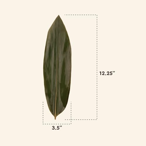BambooMN Bamboo Leaves for Cooking Zongzi, Banana Leaf Alternative, Grilling/Barbeque, Natural Boiling Bags - 12.25 x 3.5 Inches - 100 pack - Image 5