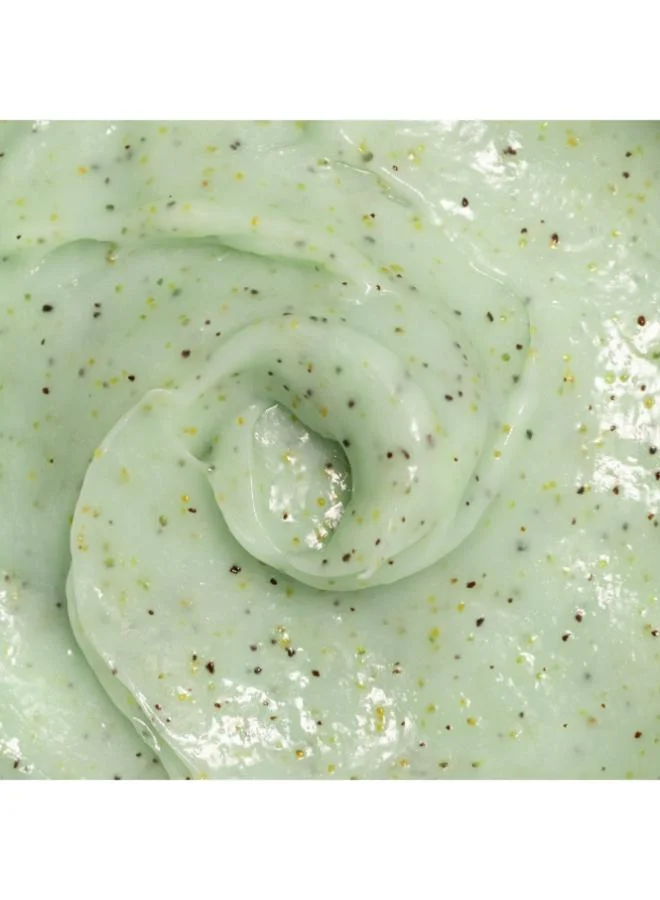 أومبيرتو جيانيني مجموعة بداية فروة الرأس