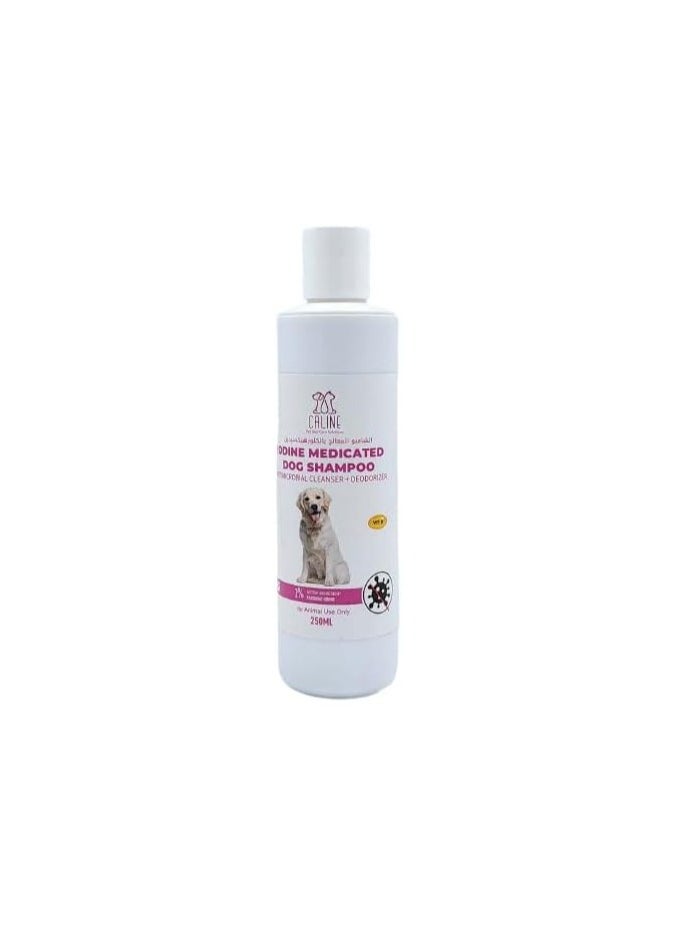 Iodine Medicated Dog Shampoo – Antimicrobial Skin Therapy, 250ml Bottle - pzsku/Z066699C491D098811E25Z/45/_/1732789096/4861495d-4415-430e-ba7b-f4e3cfead11e