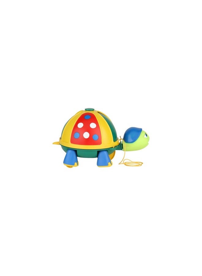 giggles Funskool Giggles - Roly Poly Turtle , Pull along toy, Encourages walking, Rattling sound,Multicolour, 12 months & above, Infant and Preschool Toys - Image 4