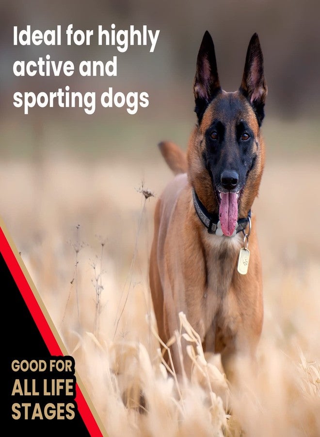 فيكتور طعام الكلاب الفاخر من فيكتور - طعام جاف عالي الطاقة للكلاب النشطة - حبيبات خالية من الغلوتين مع بروتينات لحم البقر والدجاج للكلاب الرياضية - لجميع السلالات وجميع مراحل الحياة، 5 أرطال - Image 5