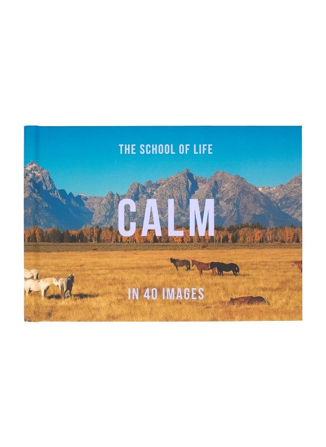 null - Calm in 40 Images: The Art of Finding Serenity - Image 1