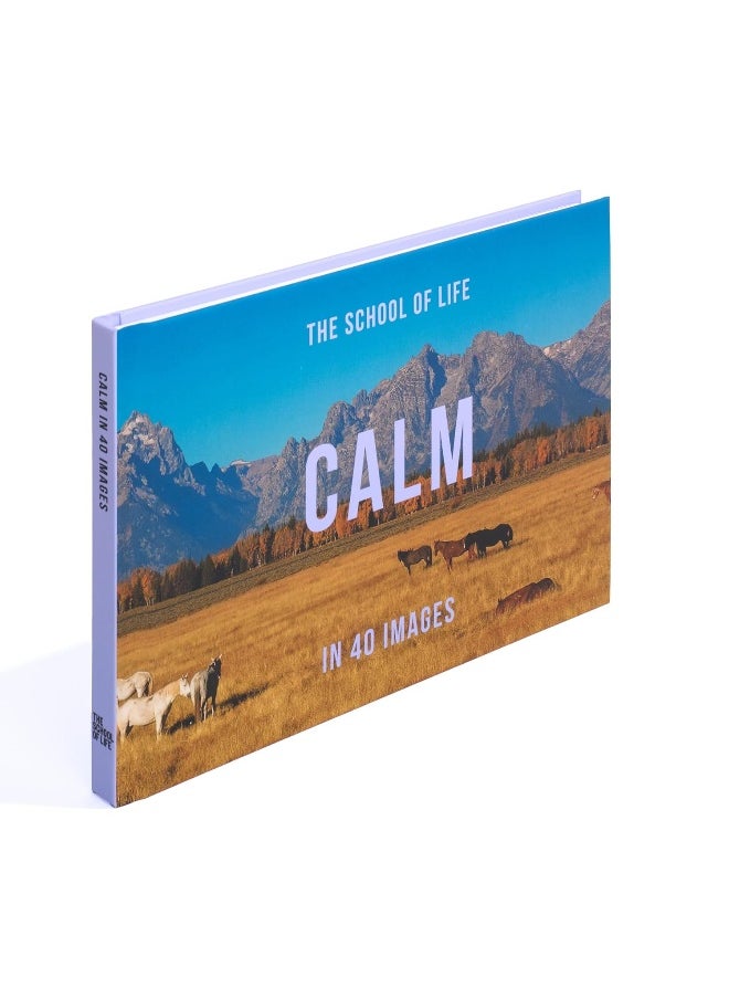 null - Calm in 40 Images: The Art of Finding Serenity - Image 1