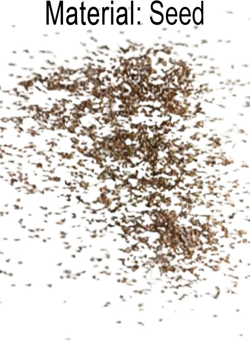 GGOOT 300Pcs/Bag Hyacinth Seed Eco-Friendly Easy to Plant Fresh Hyacinth Flower Seed for Home Plant Seed for Household - Image 2