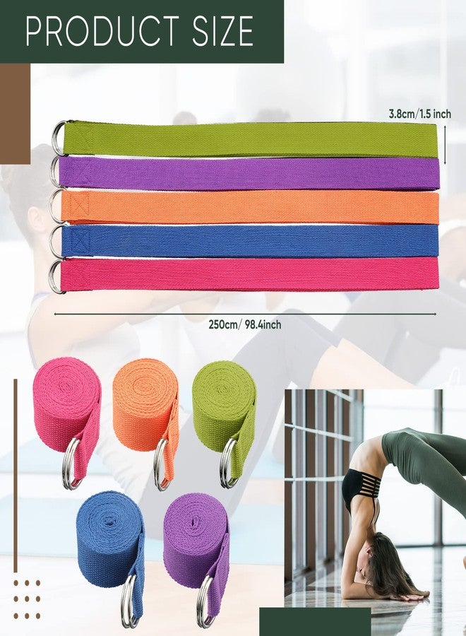 Hanaive 10 Pcs Yoga Strap 8ft Yoga Stretching Exercise Band Stretching Belt with Adjustable Metal D Ring Buckle Loop for Pilates, Dance, Physical Therapy, Gym Workout - Image 2