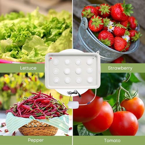 NATGAI Hydroponic System Growing Kit with Air Pump 12 Holes Soilless Cultivation Grow Box Garden Cabinet Box for Herbs, Lettuce, Vegetables - Image 5